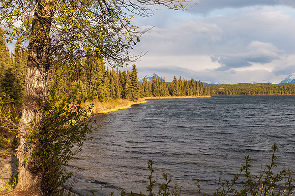 _DSC2675.jpg