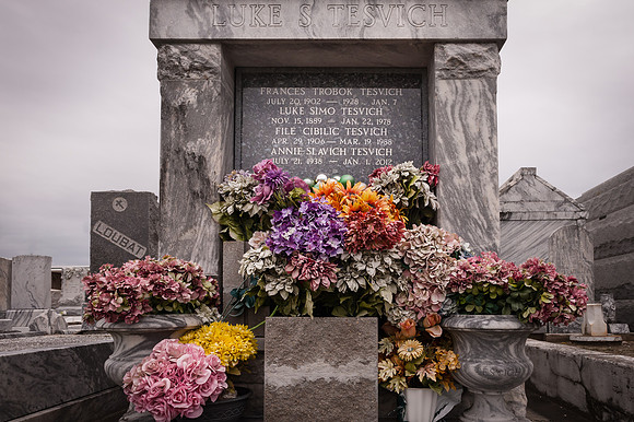 nola _DSC5967.jpg