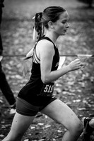 wvxc 10-28-26. 11.jpg