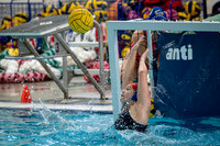 wvwp 9-29-26. 5.jpg