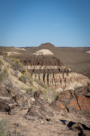 owyheeDSC_7701.jpg