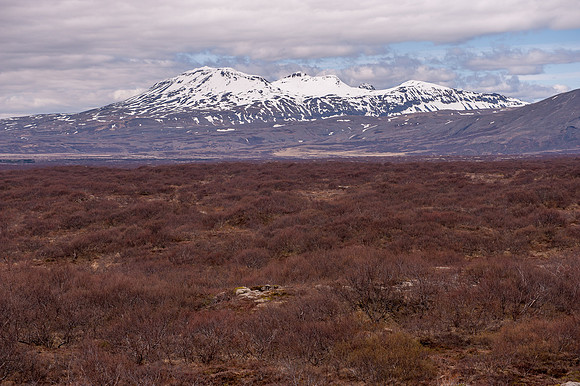 Iceland_DSC7625.jpg