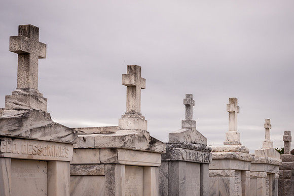 nola _DSC5969.jpg
