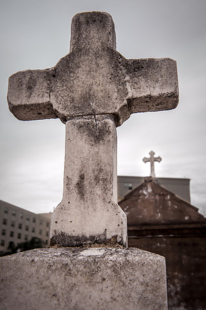 nola _DSC5951.jpg
