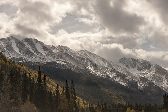 _DSC2588.jpg