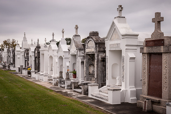 nola _DSC5973.jpg