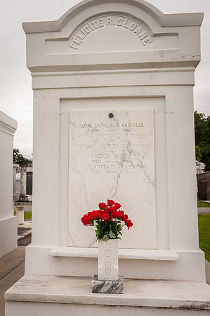 nola _DSC5918.jpg