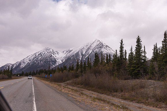 _DSC2593.jpg