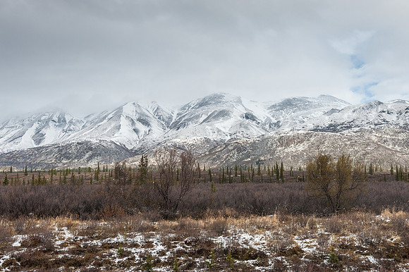 _DSC2596.jpg
