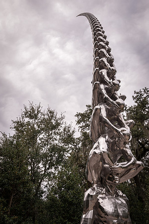 nola _DSC5984.jpg