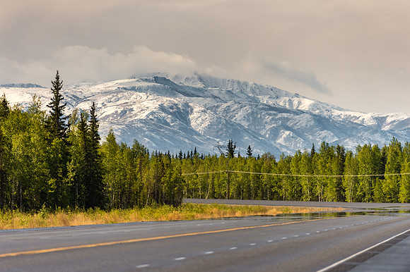 _DSC0884.jpg