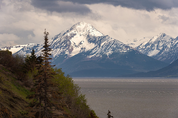 _DSC0894.jpg