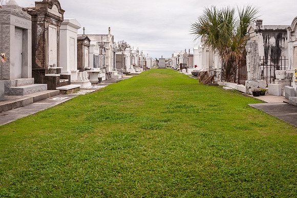 nola _DSC5915.jpg